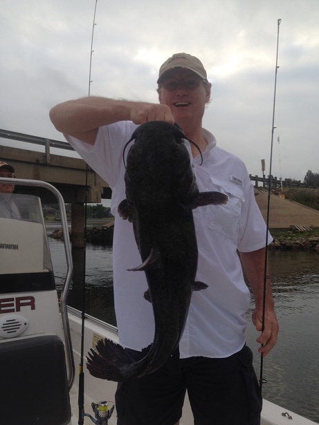 Roper Catfish on CCL with BigCrappie Guides
